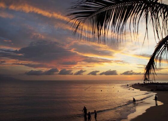 bahía-de-banderas-riviera-nayarit