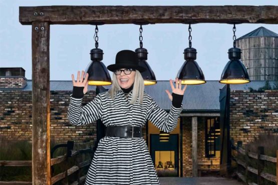 diane-keaton-genio-inmobiliaria