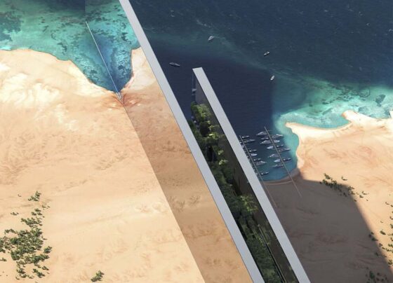 the-line-saudi-arabia