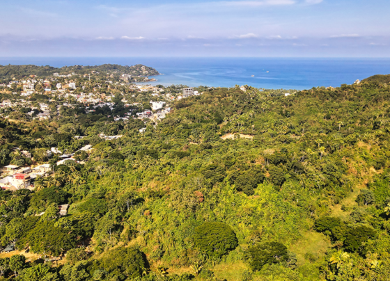 property-journal-destino-sustentable
