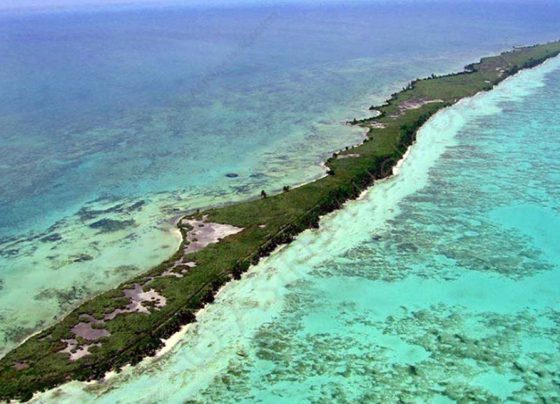 Blackadore-Caye-isla-de-dicaprio