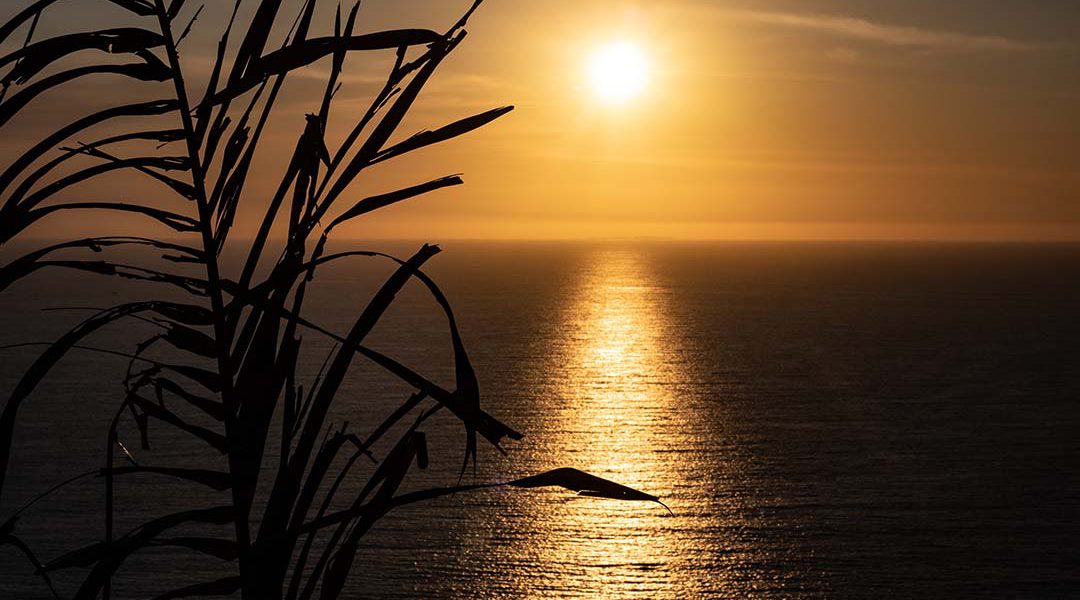 sunset-puerto-vallarta