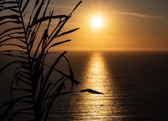 sunset-puerto-vallarta