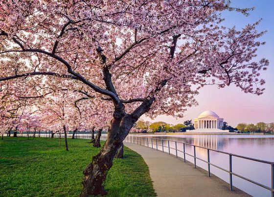 ciudades-en-primavera