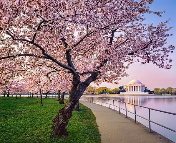 ciudades-en-primavera