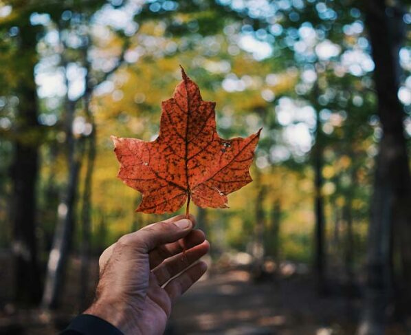 prohibicion-de-compra-de-vivienda-canada