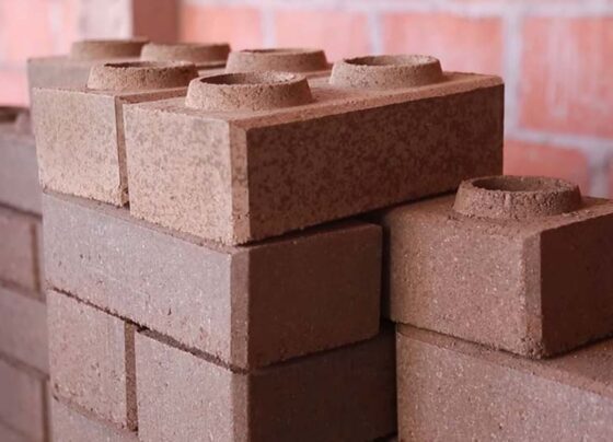 ladrillos-ecologicos-para-construccion-sustentable