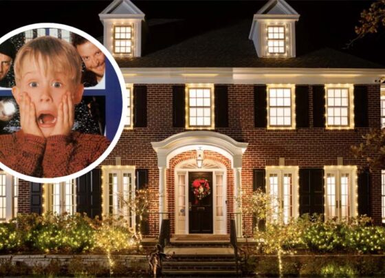 a-la-venta-mansion-mi-pobre-angelito