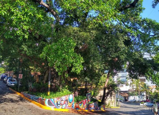arbol-del-amor-y-la-diversidad-puerto-vallarta-zona-romantica