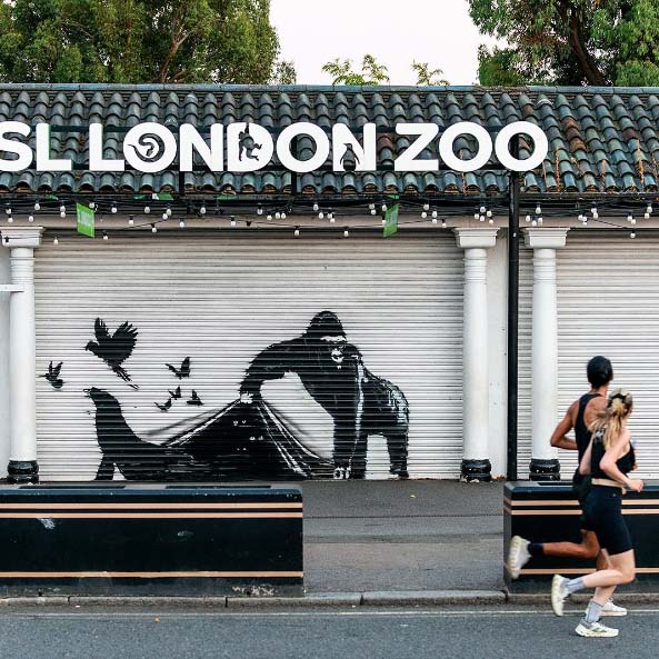 banksy-zoo-londres