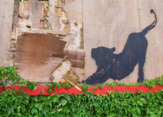 zoologico-de-banksy-en-londres-critica-social