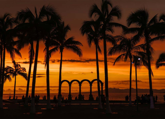 puerto-vallarta-mercado-inmobiliario-update-shoreline-Q1-2025