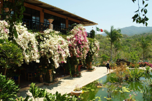 jardin-botanico-de-puerto-vallarta