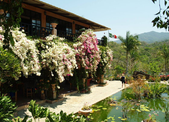 jardin-botanico-de-puerto-vallarta