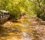 isla-del-rio-cuale-property-puerto-vallarta