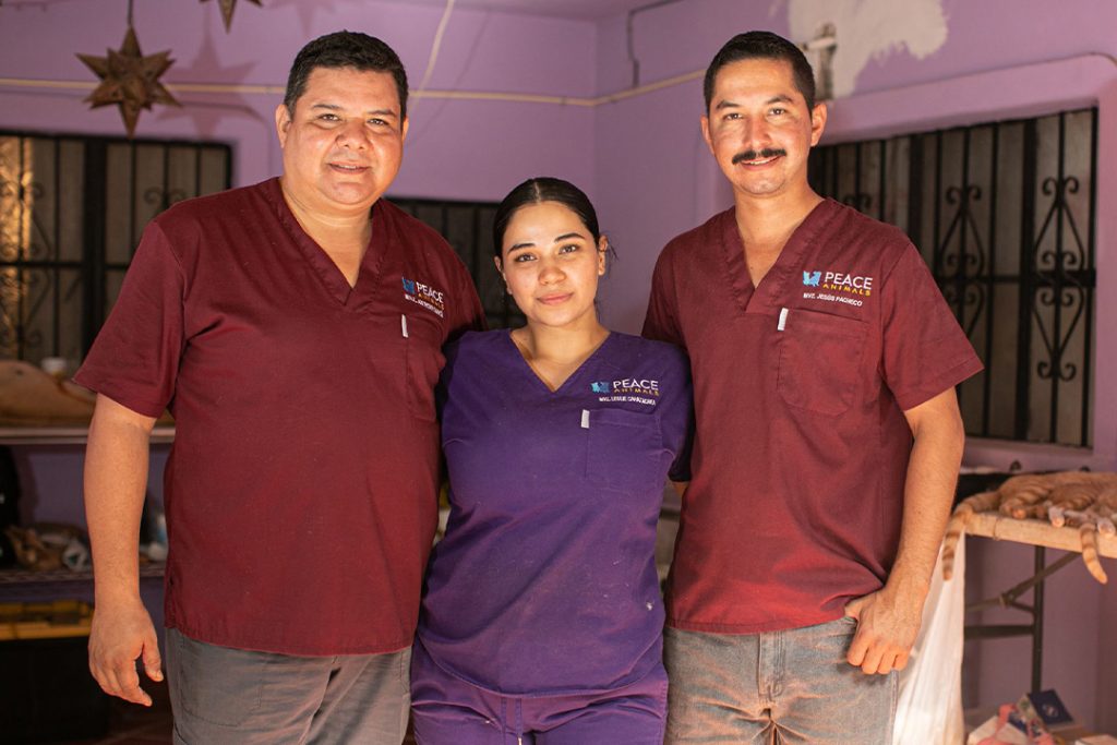 gala-in-white-peace-animals-punta-mita