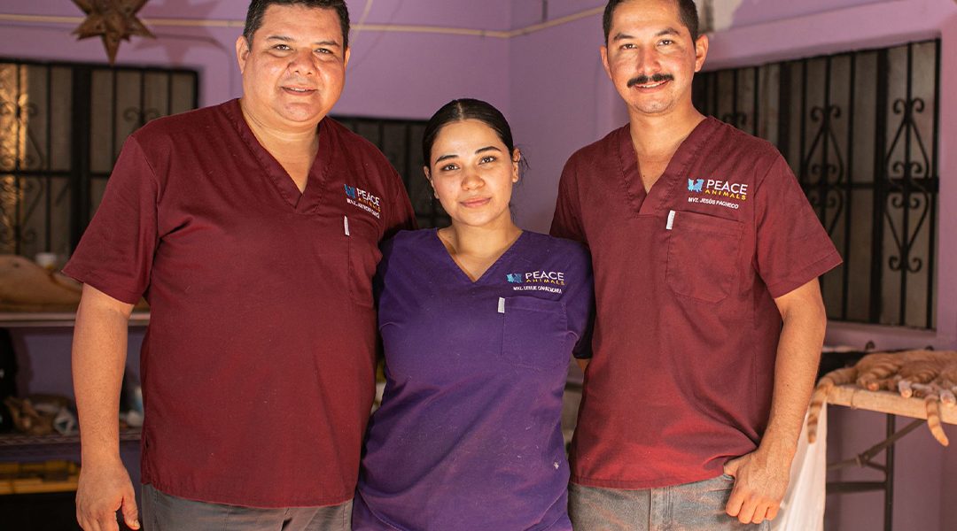 gala-in-white-peace-animals-punta-mita