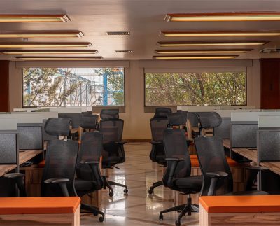 biofilia-para-mobiliario-de-corporativo